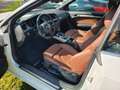 Audi A5 Cabriolet 2.7 TDIT voll / Leder br./Air carf Blanc - thumbnail 13