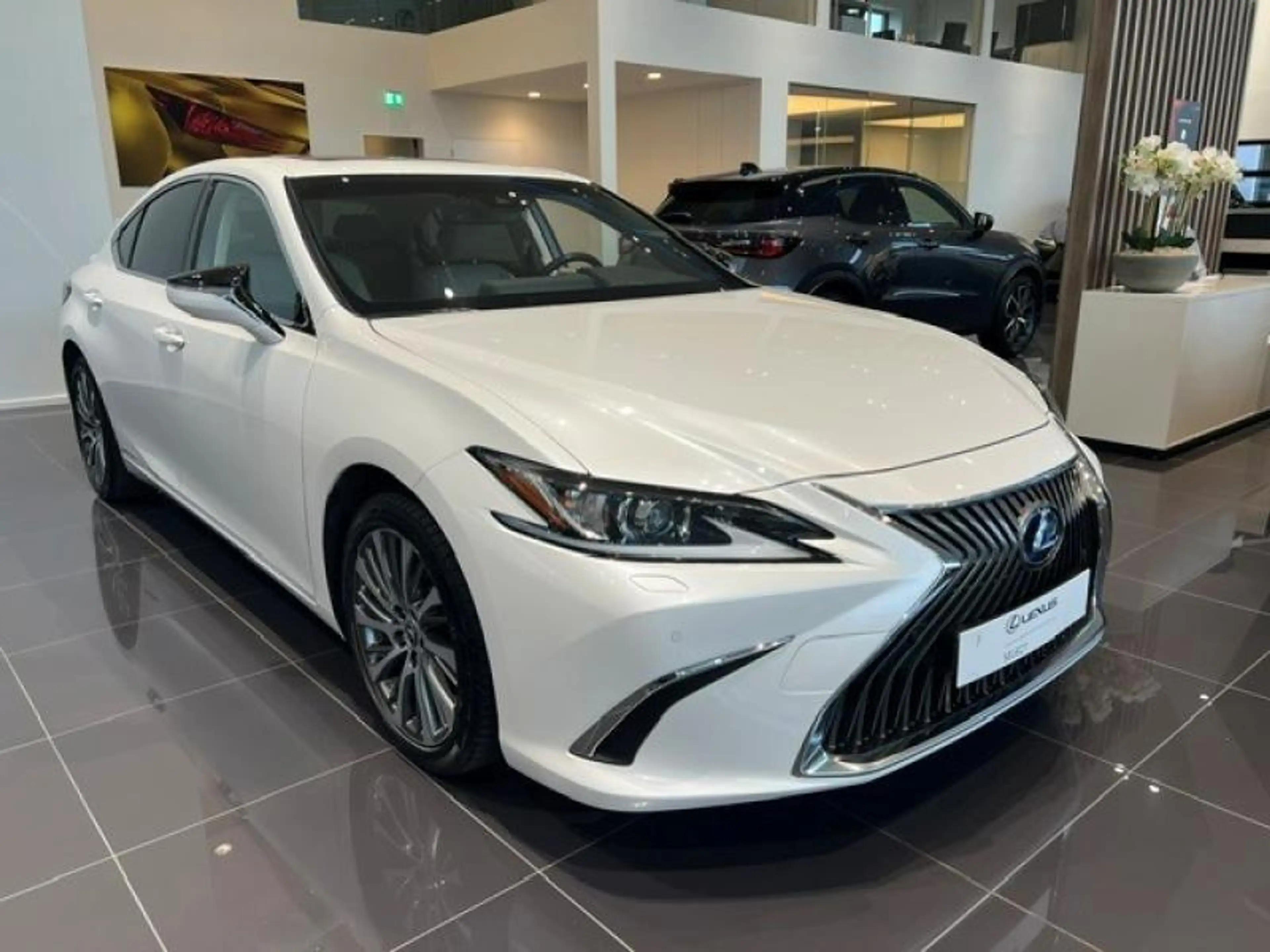 Lexus ES 300 Explore Line — photo 2