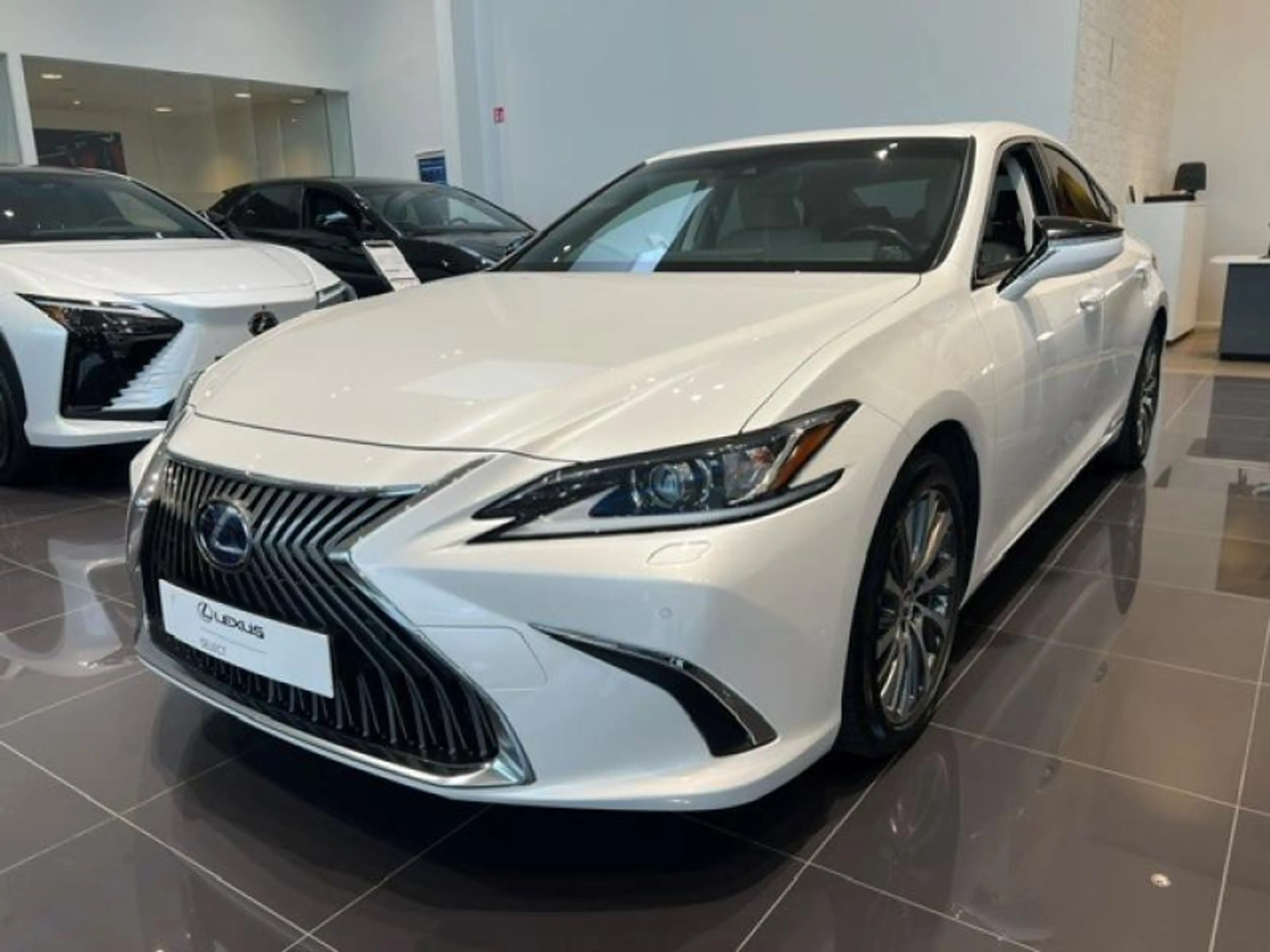 Lexus ES 300 Explore Line — photo 8