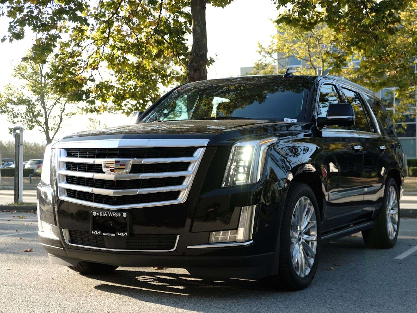 2019 Cadillac Escalade