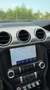 Ford Mustang Bullitt 5.0 V8 GT 460CV no superbollo 68 ESEMPLARI Verde - thumbnail 12