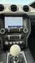 Ford Mustang Bullitt 5.0 V8 GT 460CV no superbollo 68 ESEMPLARI Verde - thumbnail 10
