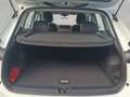 Volkswagen Tiguan 1.5 eTSI DSG Life GOAL RFK AHK GJR Blanc - thumbnail 7