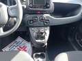 Fiat Panda 1.0 FireFly Hybrid Grigio - thumbnail 12