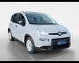 Fiat Panda 1.0 FireFly Hybrid Grigio - thumbnail 2