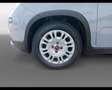 Fiat Panda 1.0 FireFly Hybrid Grigio - thumbnail 4
