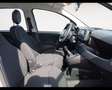 Fiat Panda 1.0 FireFly Hybrid Grigio - thumbnail 15