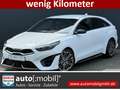 Kia ProCeed / pro_cee'd 1.5 T GT-LINE+EL.HECKKLAPPE+EINPARK ASSISTENT Blanc - thumbnail 1