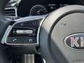 Kia XCeed 1.6 GDi PHEV ExecutiveLine | Trekhaak, Schuifdak, Wit - thumbnail 12