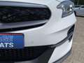 Kia XCeed 1.6 GDi PHEV ExecutiveLine | Trekhaak, Schuifdak, Wit - thumbnail 37