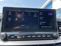 Kia XCeed 1.6 GDi PHEV ExecutiveLine | Trekhaak, Schuifdak, Wit - thumbnail 18