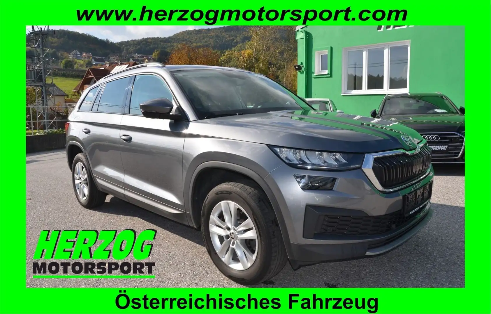 Skoda Kodiaq Skoda Kodiaq 2,0 TDI DSG 4x4 ACC LED AHV 1.Besitz Grau - 1