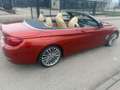 BMW 430 Baureihe 4 Cabrio 430 d Luxury Line 1 HAND Orange - thumbnail 7