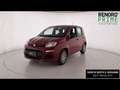 Fiat Panda 1.0 FireFly Hybrid 70cv S&S 5p.ti Rosso - thumbnail 1