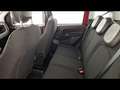 Fiat Panda 1.0 FireFly Hybrid 70cv S&S 5p.ti Rosso - thumbnail 9