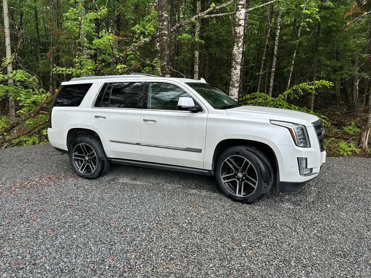 2017 Cadillac Escalade