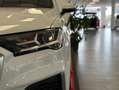 Audi Q7 S line 50 TDI 210kW (286CV) quattro tip Weiß - thumbnail 23