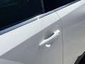 Nissan Qashqai 1.3 MHEV Business Design | Navi/Adapt.Cruise/Clima Wit - thumbnail 39