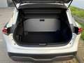 Nissan Qashqai 1.3 MHEV Business Design | Navi/Adapt.Cruise/Clima Wit - thumbnail 25