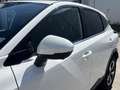 Nissan Qashqai 1.3 MHEV Business Design | Navi/Adapt.Cruise/Clima Wit - thumbnail 37