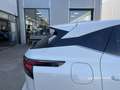 Nissan Qashqai 1.3 MHEV Business Design | Navi/Adapt.Cruise/Clima Wit - thumbnail 41