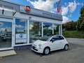 Fiat 500 Cabrio 1.0 GSE Hybrid 51 kW (70 PS) Weiß - thumbnail 1