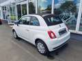Fiat 500 Cabrio 1.0 GSE Hybrid 51 kW (70 PS) Weiß - thumbnail 4