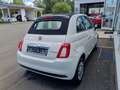 Fiat 500 Cabrio 1.0 GSE Hybrid 51 kW (70 PS) Weiß - thumbnail 3