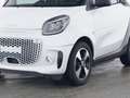 smart forTwo EQ  Exkl 22kw Pano LED Kamera 1528km Wit - thumbnail 4