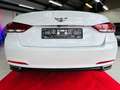 Hyundai Genesis Weiß - thumbnail 13