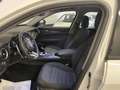 Alfa Romeo Stelvio 2.2 Turbodiesel 190 CV AT8 Q4 Business Bianco - thumbnail 14