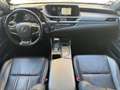 Lexus ES 300 300 Luxe 2.5l 218 CV BVA Grijs - thumbnail 18