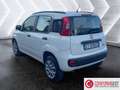 Fiat Panda Panda 0.9 TwinAir Turbo Natural Power Easy Bianco - thumbnail 4