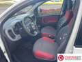 Fiat Panda Panda 0.9 TwinAir Turbo Natural Power Easy Bianco - thumbnail 8