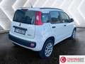 Fiat Panda Panda 0.9 TwinAir Turbo Natural Power Easy Bianco - thumbnail 6