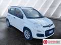 Fiat Panda Panda 0.9 TwinAir Turbo Natural Power Easy Bianco - thumbnail 7