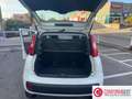 Fiat Panda Panda 0.9 TwinAir Turbo Natural Power Easy Bianco - thumbnail 11