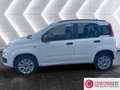 Fiat Panda Panda 0.9 TwinAir Turbo Natural Power Easy Bianco - thumbnail 3