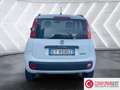 Fiat Panda Panda 0.9 TwinAir Turbo Natural Power Easy Bianco - thumbnail 5