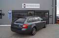 Skoda Octavia Soleil Grau - thumbnail 4