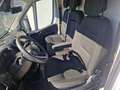 Fiat Ducato 35 Maxi L4H2*VIELE EXTRAS NETTO €16990.- Weiß - thumbnail 9