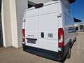 Fiat Ducato 35 Maxi L4H2*VIELE EXTRAS NETTO €16990.- Weiß - thumbnail 8