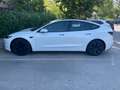 Tesla Model 3 Model 3 Standard Range Premium RWD Premium Blanco - thumbnail 6