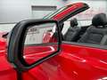 Ford Mustang 5.0 GT Cabrio Premium/Digi-Tacho/B&o/ACC Rot - thumbnail 12