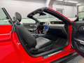Ford Mustang 5.0 GT Cabrio Premium/Digi-Tacho/B&o/ACC Rot - thumbnail 14
