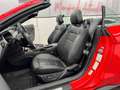 Ford Mustang 5.0 GT Cabrio Premium/Digi-Tacho/B&o/ACC Rot - thumbnail 20