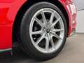 Ford Mustang 5.0 GT Cabrio Premium/Digi-Tacho/B&o/ACC Rot - thumbnail 11