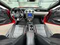 Ford Mustang 5.0 GT Cabrio Premium/Digi-Tacho/B&o/ACC Rot - thumbnail 22