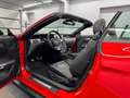 Ford Mustang 5.0 GT Cabrio Premium/Digi-Tacho/B&o/ACC Rot - thumbnail 19