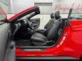 Ford Mustang 5.0 GT Cabrio Premium/Digi-Tacho/B&o/ACC Rot - thumbnail 18